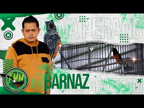 MURAI BATU DEWA PERANG || BARNAZ || BARA TEAM