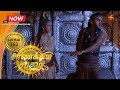 சாணக்கிய சபதம் பாகம் 162 Chanakiya Sabatham Episode 162 Swastik 