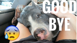 SAYING GOODBYE TO FANCY... - Adley Stump Vlog 9