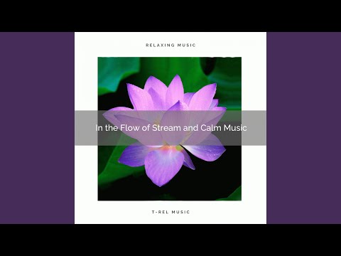 Crystal Peace Soft Music and Flowing Stream pt. 1