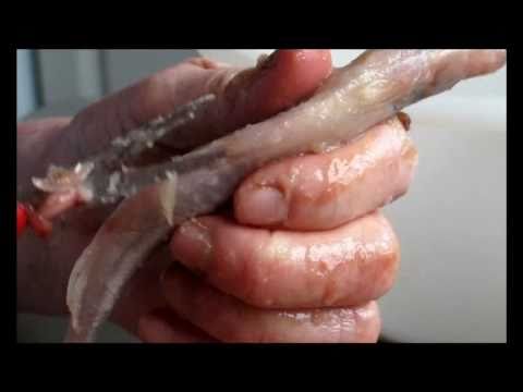 Stinte - ein Traditionsessen   Film-Otto Hitzegrad