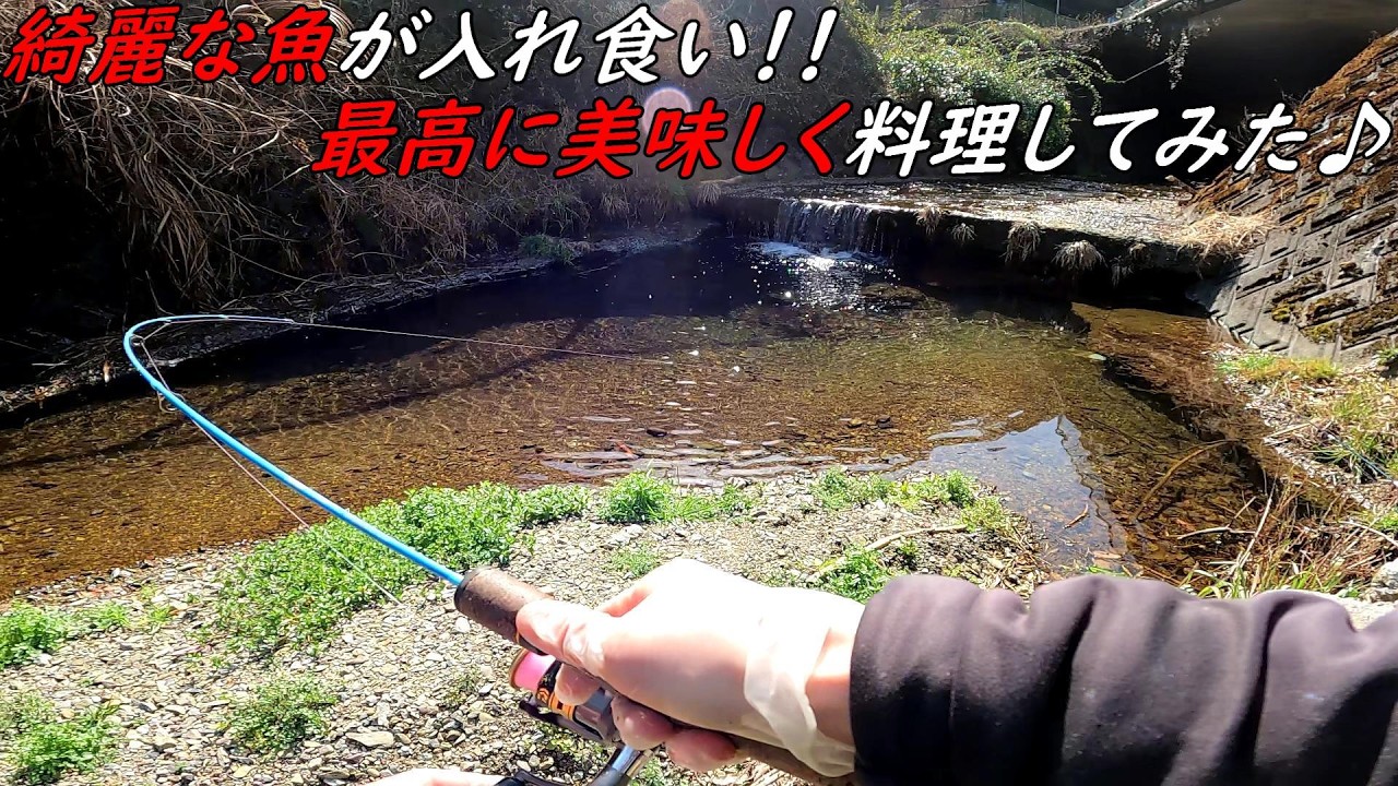 川魚を炊き込みご飯にしてみたら最高に美味しかった♪