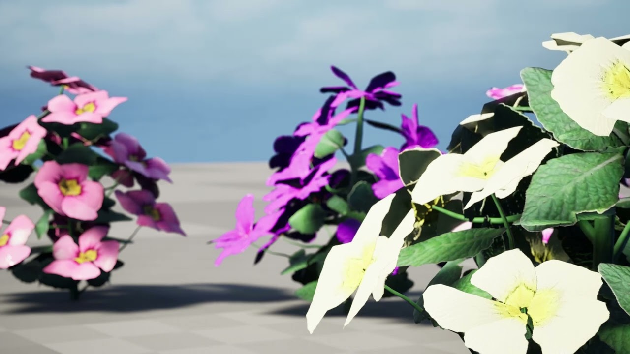 Primula vulgaris Collection 3D Model