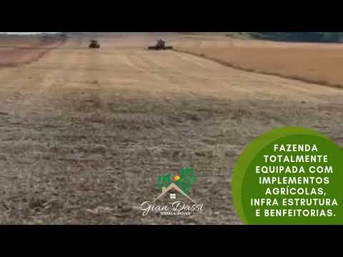 Fazenda Região de Curralinhos Piauí