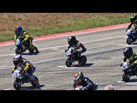 Campionato Italiano Minimoto 17-07-2022 - Leo#13
