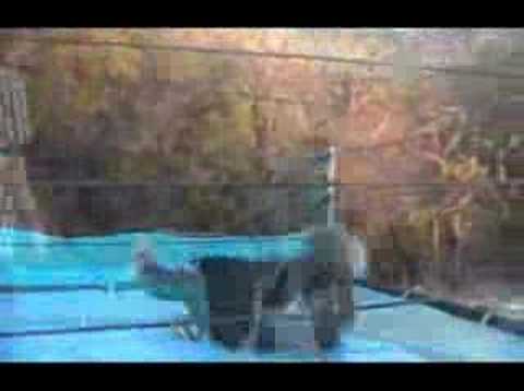 NoW Frost vs. Aroc RECAP