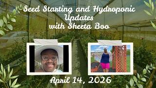 04-14-2026 Seed starting and Hydroponic update