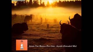 Armin van Buuren Pres Gaia - Inyathi (Extended Mix)