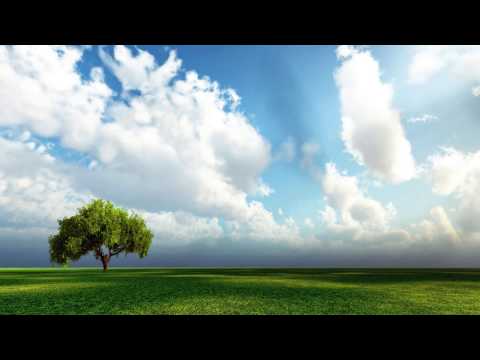 Hoću li i ja u raj?, fra Bonaventura Ćuk