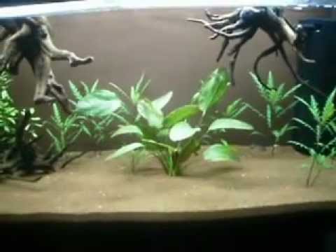 comment augmenter le gh de mon aquarium