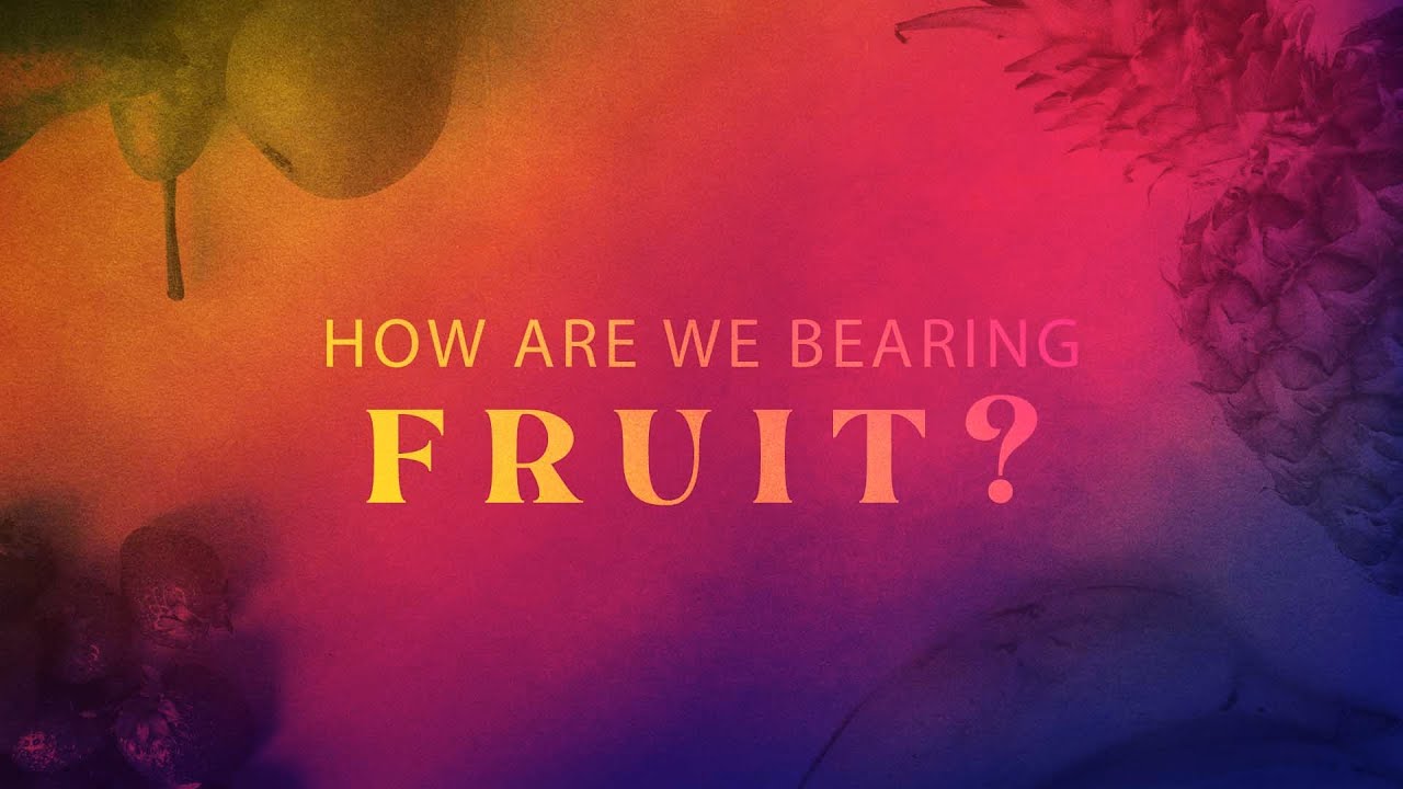 How Are We Bearing Fruit?