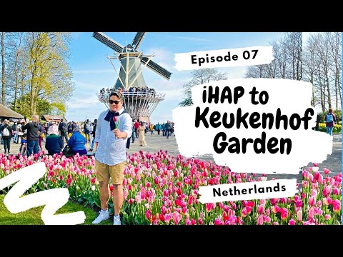 iHAP to the Keukenhof Garden, The Most Beautiful Spring Garden in the World