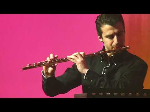 F. Kreisler - Praeludium and Allegro in the style of Pugnani (arr. by A. Morozov)