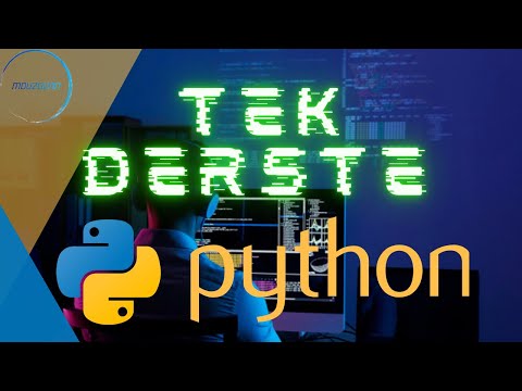 20 Dakikada Python