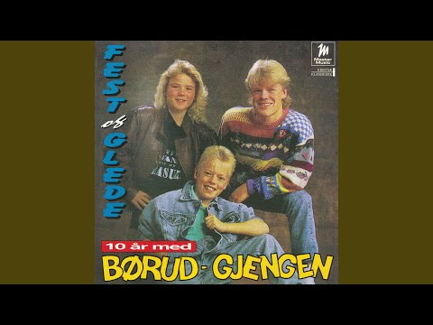 Her Er Det Fest Og Glede - Børud-Gjengen