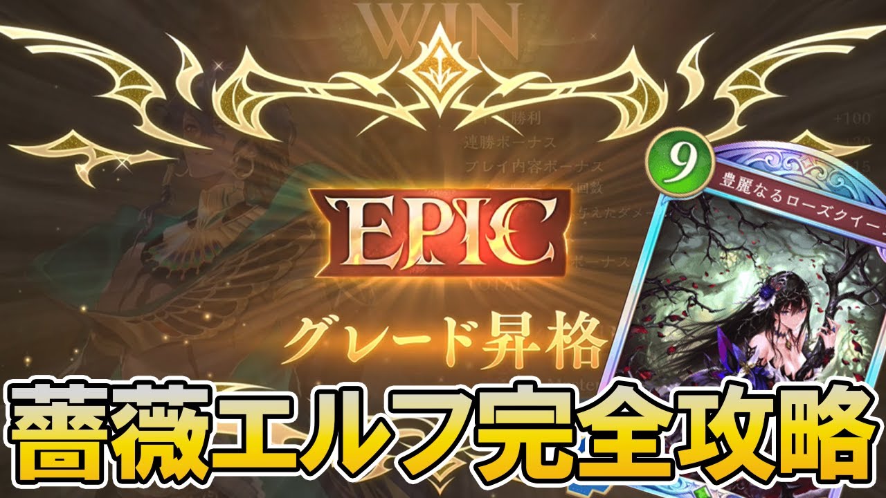 【全国80位】薔薇エルフでEPICに到達してしまった人【シャドバビヨンド】【ローズクイーン】