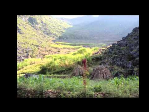 Thể hiện bởi Khánh Ly