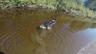 Thrice - Beyond the pines (unofficial)