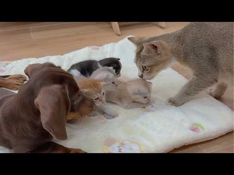 YouTube 썸네일