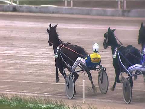 Trotto 28/10/2018 - 1ª corsa