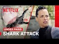 Shark Attack In The River Seine Under Paris Netflix Philippines
