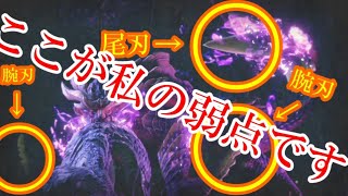 新米ハンターがマガイマガトについてのんびりトーク【モンスターハンターライズ/モンハンライズ/MHRise】
