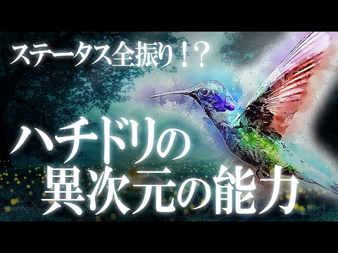 ヘルメットをかぶったハチドリについて詳しく解説