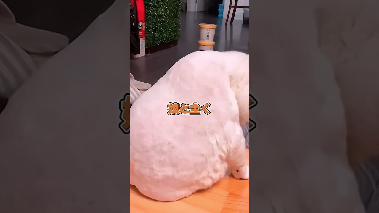 【スカッと】娘が奇妙な行動するように→すると窓の外に…！？#スカッとする話