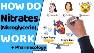 How Do Nitrates Work (Nitroglycerin)