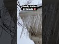 Deadly Icicles in Canada 🇨🇦 Winter weather, ice and snow #canada #winter #snow