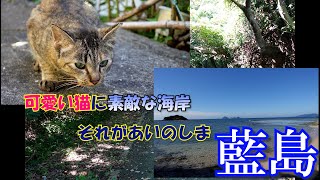 【旅動画】北九州からすぐそこ！あいのしま、藍島！