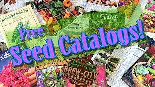 Free Seed Catalogs by Mail!