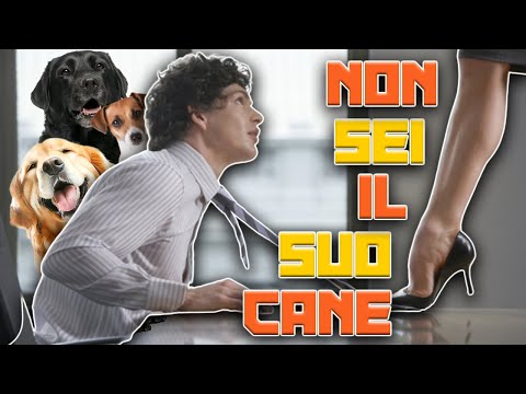 GOODBYE FRIENDZONE: How to Get Out of This Situation with 4 Psychological Phrases