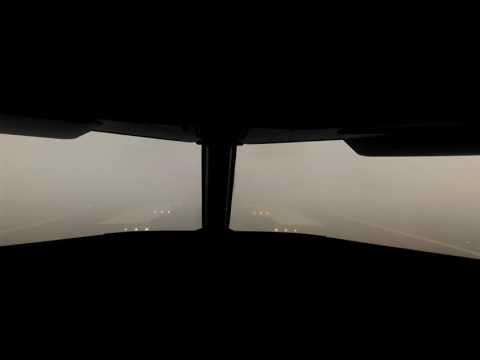 AIRBUS A320 CAT III B AUTOLAND into Milan Linate Cockpit View