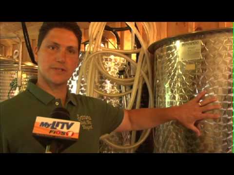 Take a look inside the Sannino Bella Vita Vineyard in Cutchogue, NY