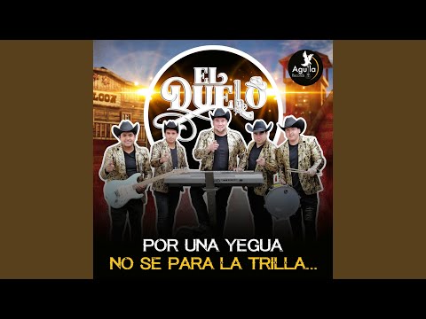 Ni Que Fueras la Mas Buena