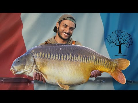 The most beautiful fish in Europe 😳 Domaine du Frene VLog Part 1
