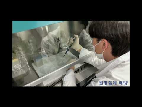 식물계통분류학연구실 소개 대표이미지