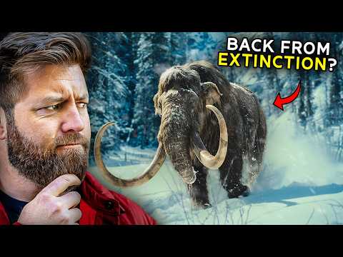 Is The Mammoth REALLY Coming Back From Extinction?
