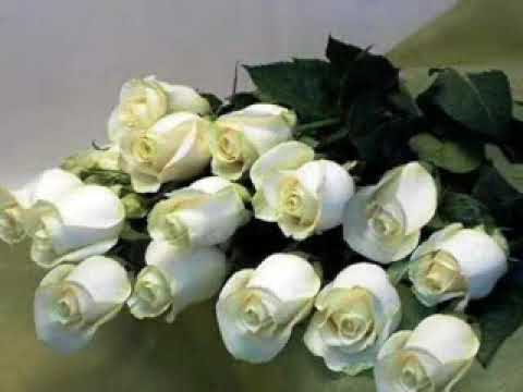 Happy Sovok Розовый вечер