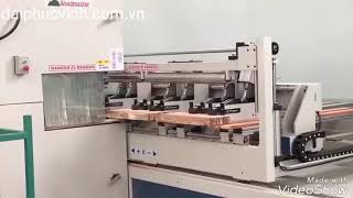 MÁY CƯA LỌNG CNC KHỔ RỘNG HIỆN ĐẠI WOODMASTER
