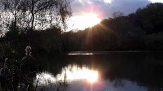 Mercury-Counting Crows