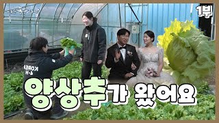 [나는 농부다 383회 2부] 웨딩 D-2 시골 남녀의 결혼 대작전