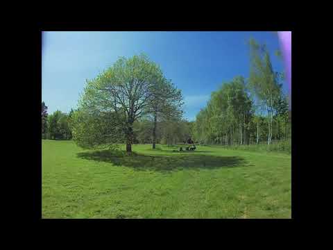 download lagu mp3 mp4 Music Event Dalkeith Country Park, download mp3 Music Event Dalkeith Country Park free download mp3, download mp3 Music Event Dalkeith Country Park