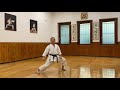 Enpi Full Karate Kata Explanation With Bunkai Master Dario Marchini