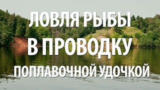 Ловля плотвы и густеры на поплавочную удочку