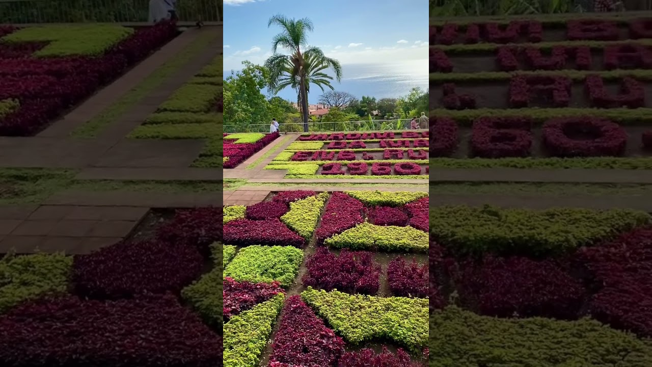 YouTube Short thumbnail