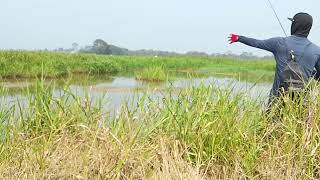 Download lagu FISHING VIDEO, WHICH IS VERY DIFFICULT#fishing mp3