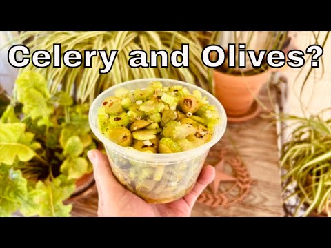 How to Make Celery and Olive Salad | Favorite Recipes