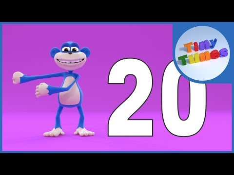 Count Down Song from 20 to 1 | The Monkey Floss | Tiny Tunes